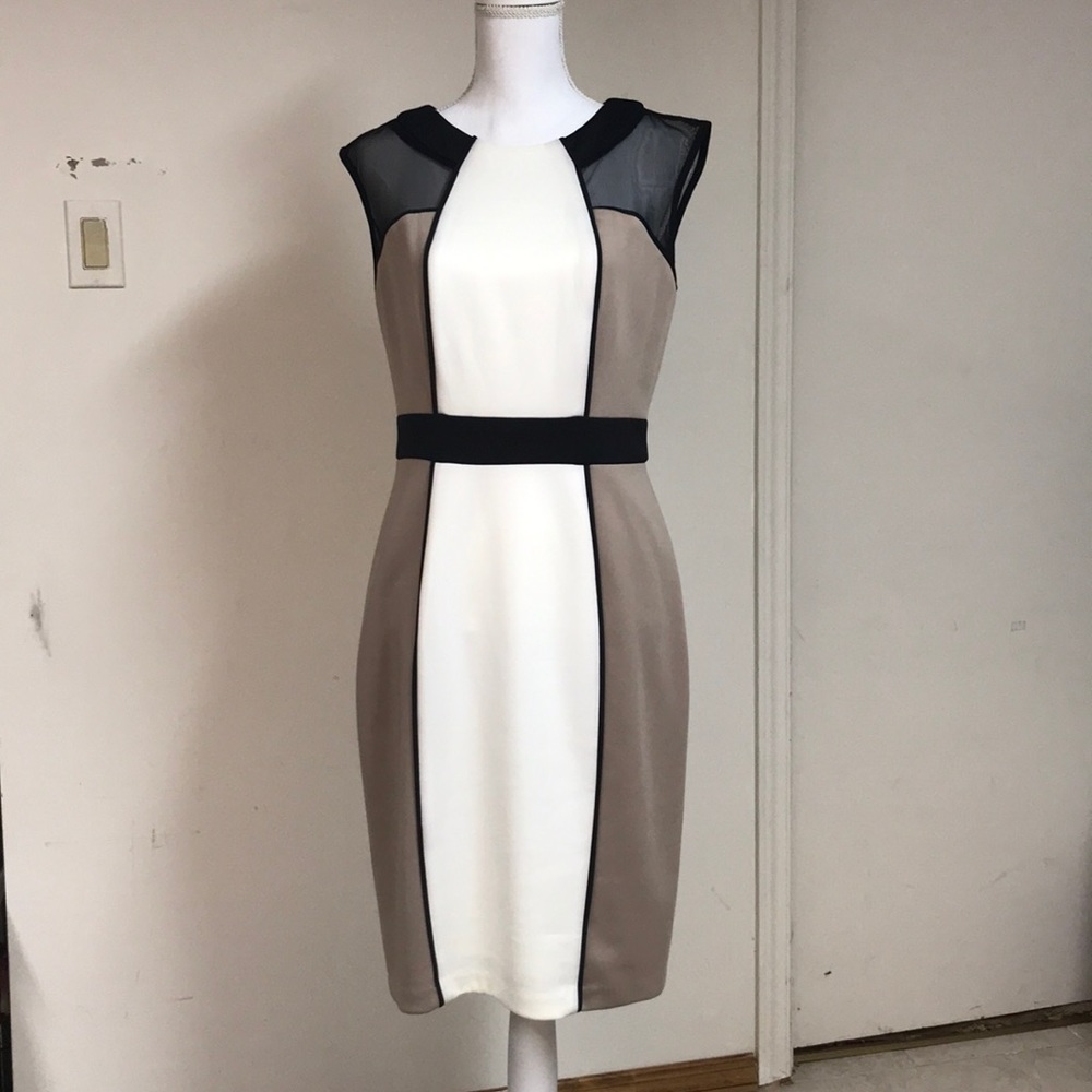 NWT neutral color block and mesh dress-so classy!